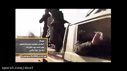 کبوترانه, نماهنگی درباره دلاور...