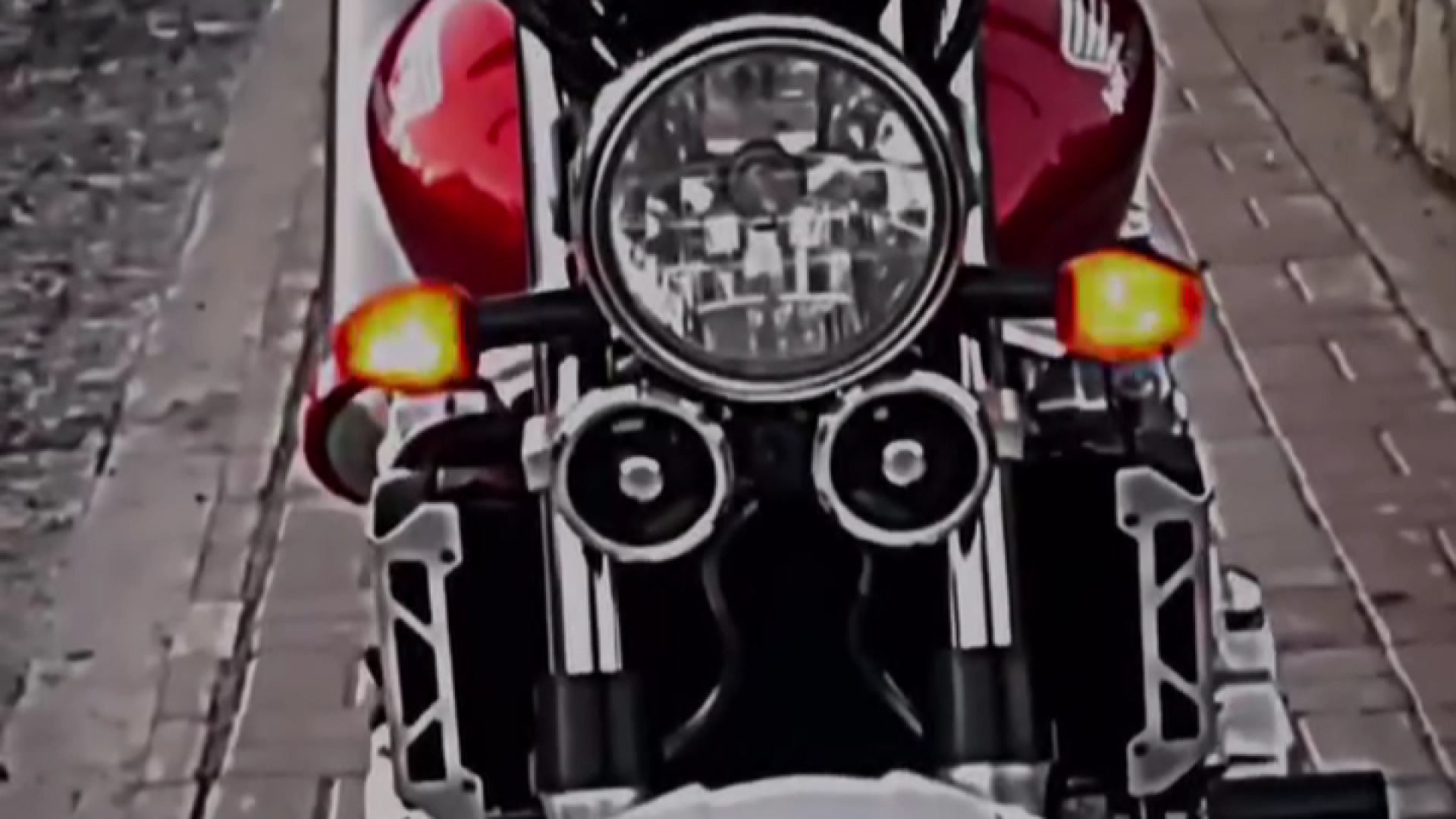 سی بی 1300 مرغ شاکردار