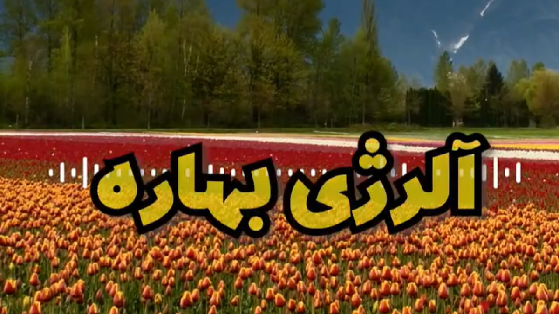 شدت آلرژی بهاره دکتر یعقوب محبوبی اسکوئی
