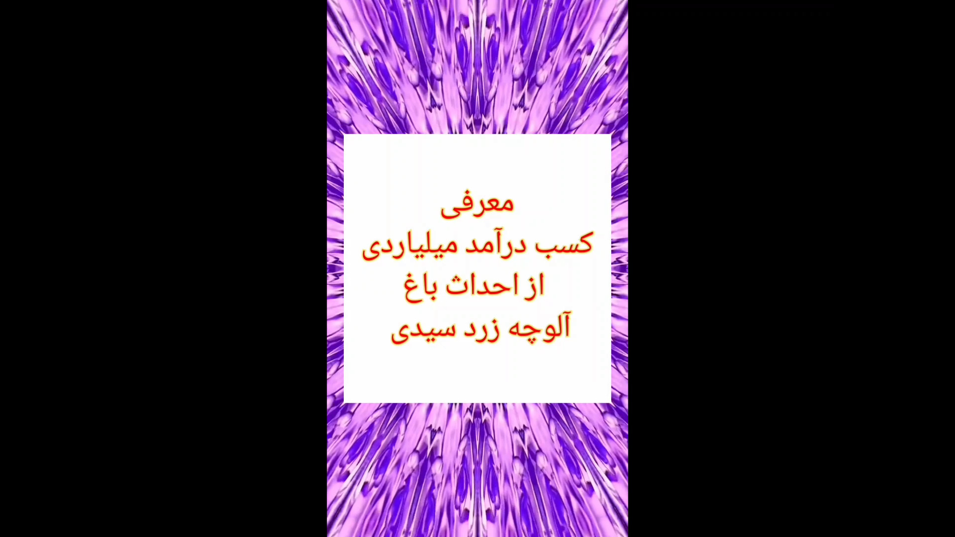 معرفی کسب درآمد میلیاردی از احداث باغ آلوچه زرد سیدی زمان69ثانیه