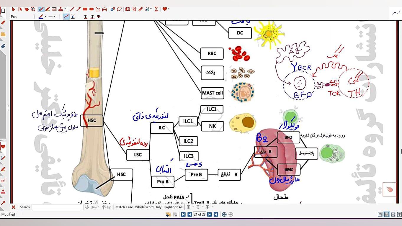 جلسه دوم قسمت اول کد پاییز 1403 عصب‌کشی
