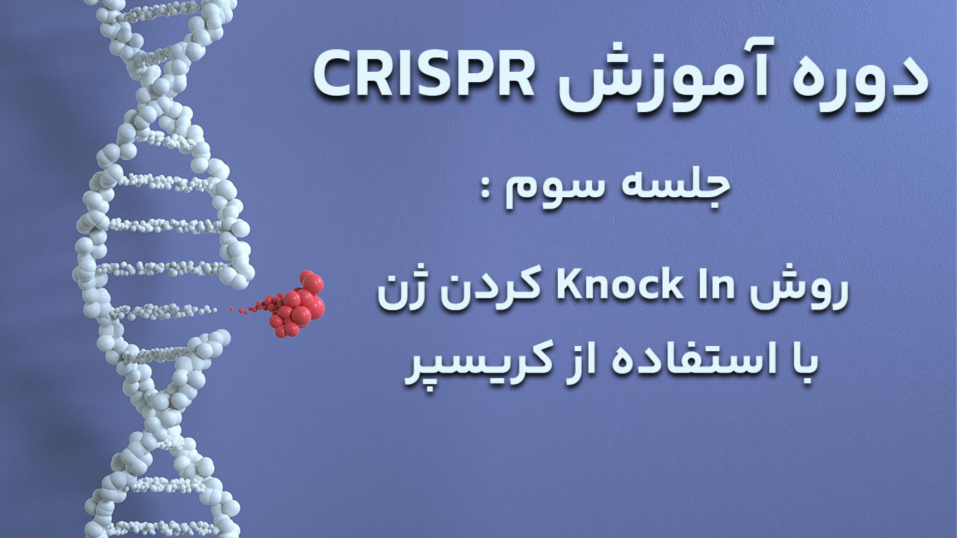 دوره آموزش کریسپر (CRISPR) - جلسه سوم : تکنیک Knock In کردن ژن به زبان فارسی جراحی بینی