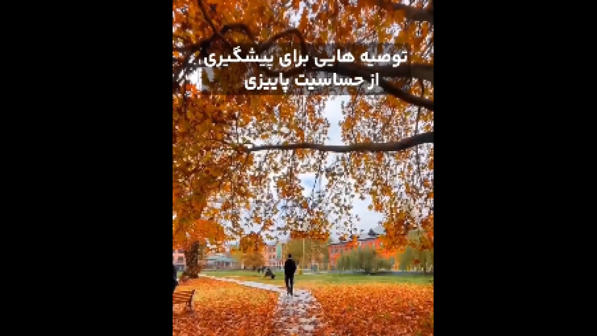 پیشگیری از حساسیـت پاییز دکتر شهرام سیدی متخصص آلرژی و ایمونولوژی