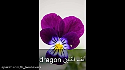 نام انواع گل ها به زبان عربی ه...
