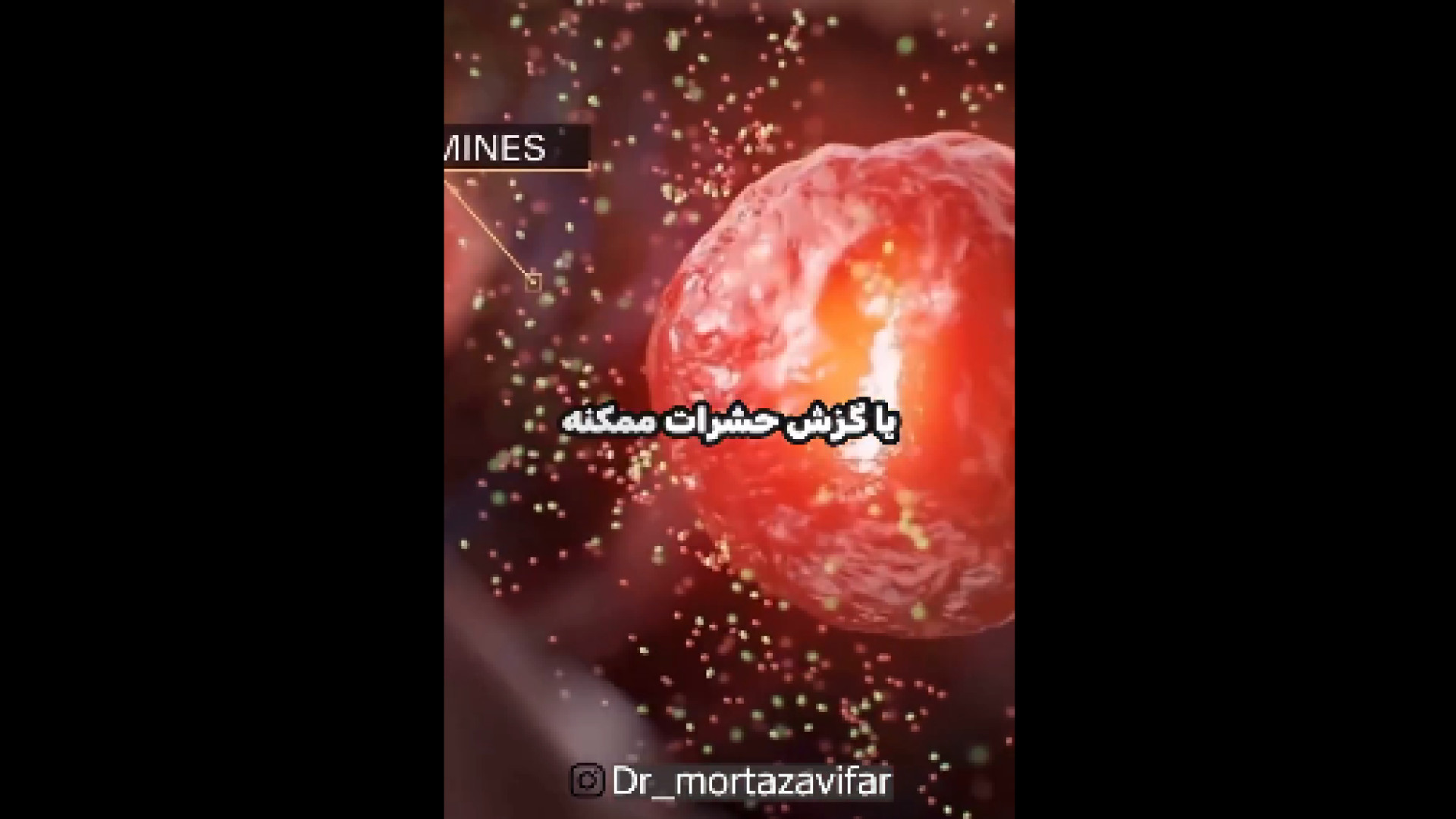 کهیر خطرناکه؟ دکتر نسرین مرتضوی فر