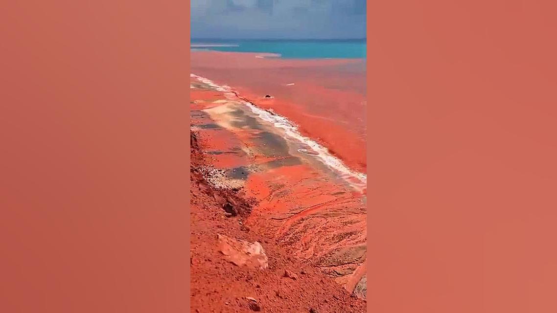 پوستر کوچک
