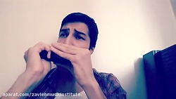 سازدهنی، علیرضا کیائی، آموزشگا...