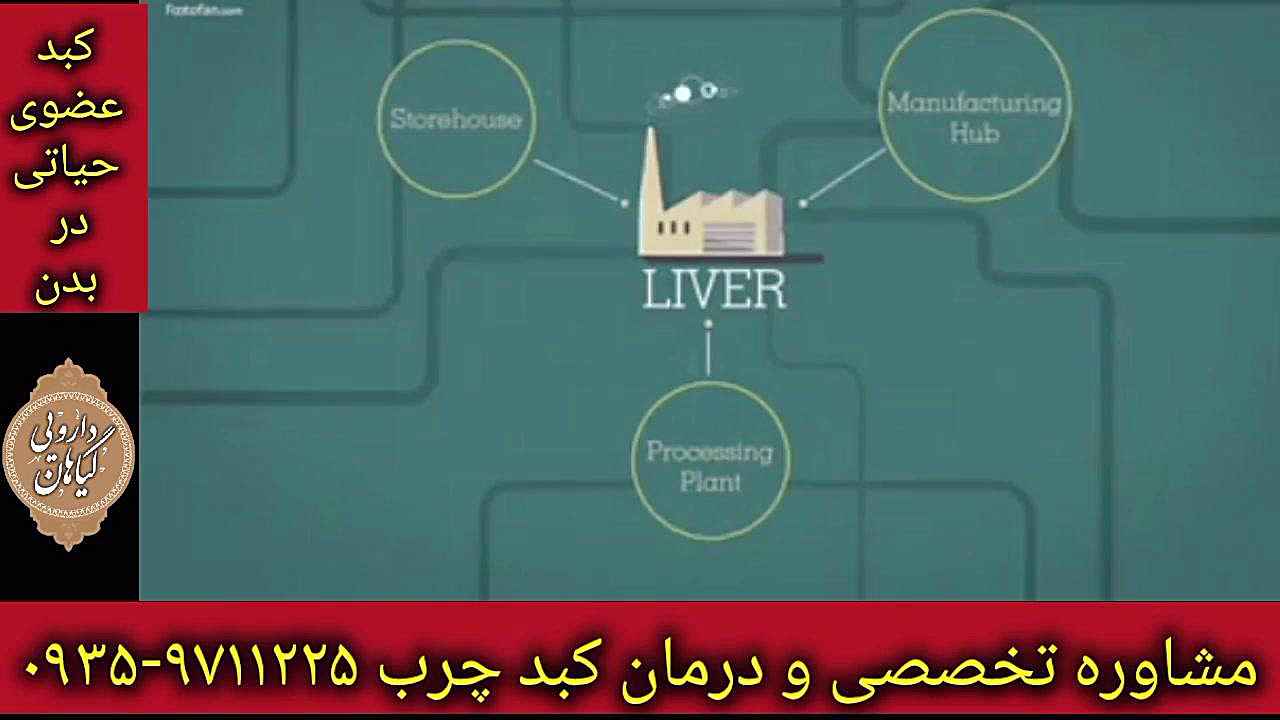 پاک سازی بدن درمان قطعی کبد چرب ۰۹۳۵۹۷۱۱۲۲۵ میکروسفالی