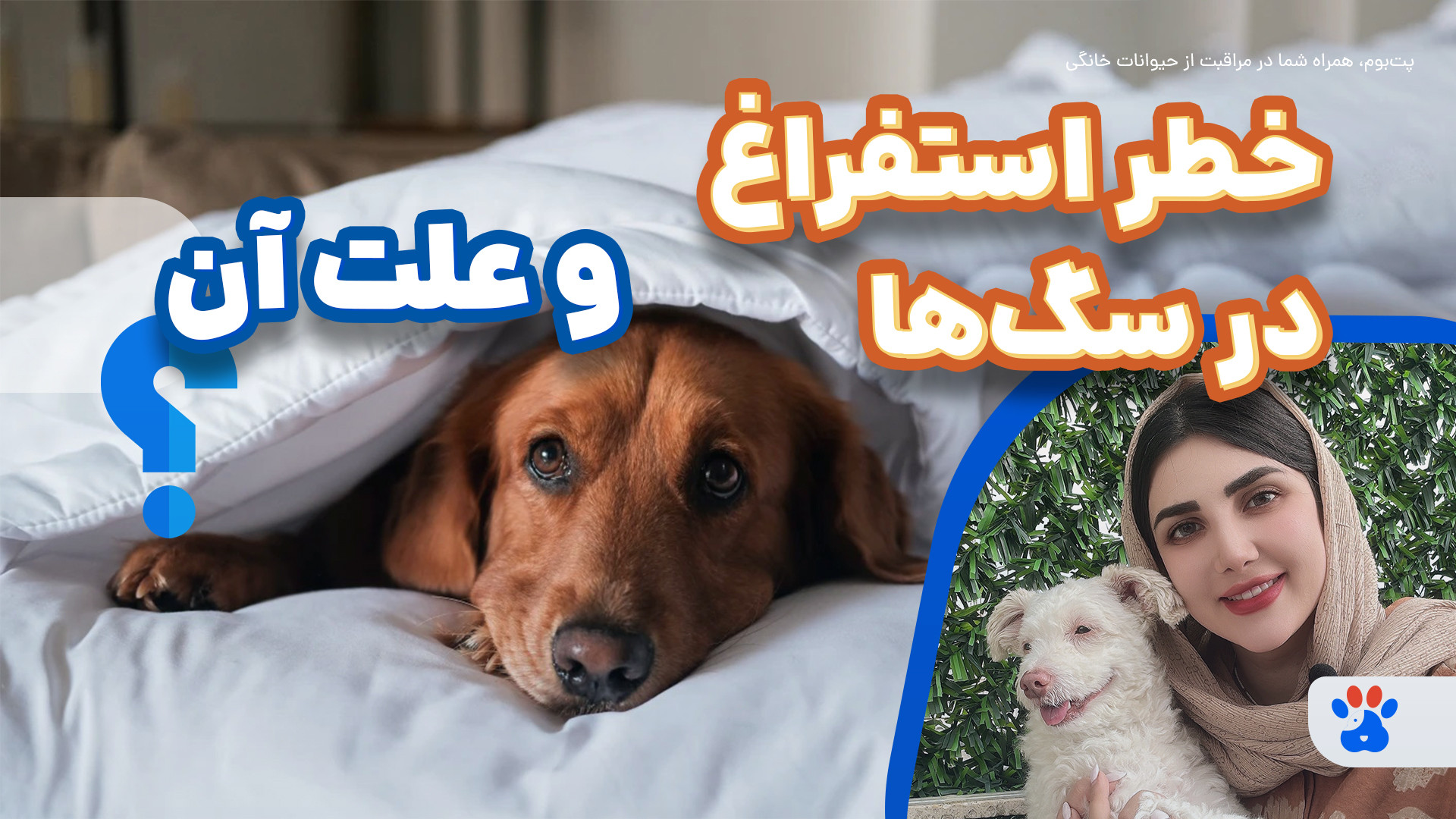 چرا سگ شما استفراغ می‌کند؟استفراغ سگ ممکن است خطر بزرگی باشد..!! بررسی لک صورت