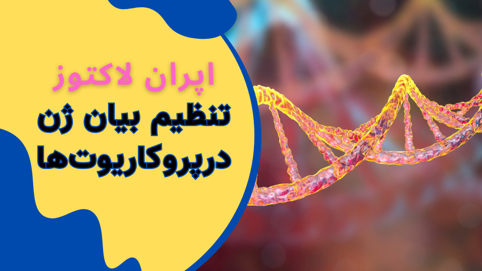 انیمیشن تنظیم بیان ژن در پروکاریوتها پیلینگ شیمیایی