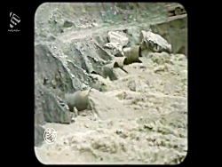 داستانِ یک پل دیگر