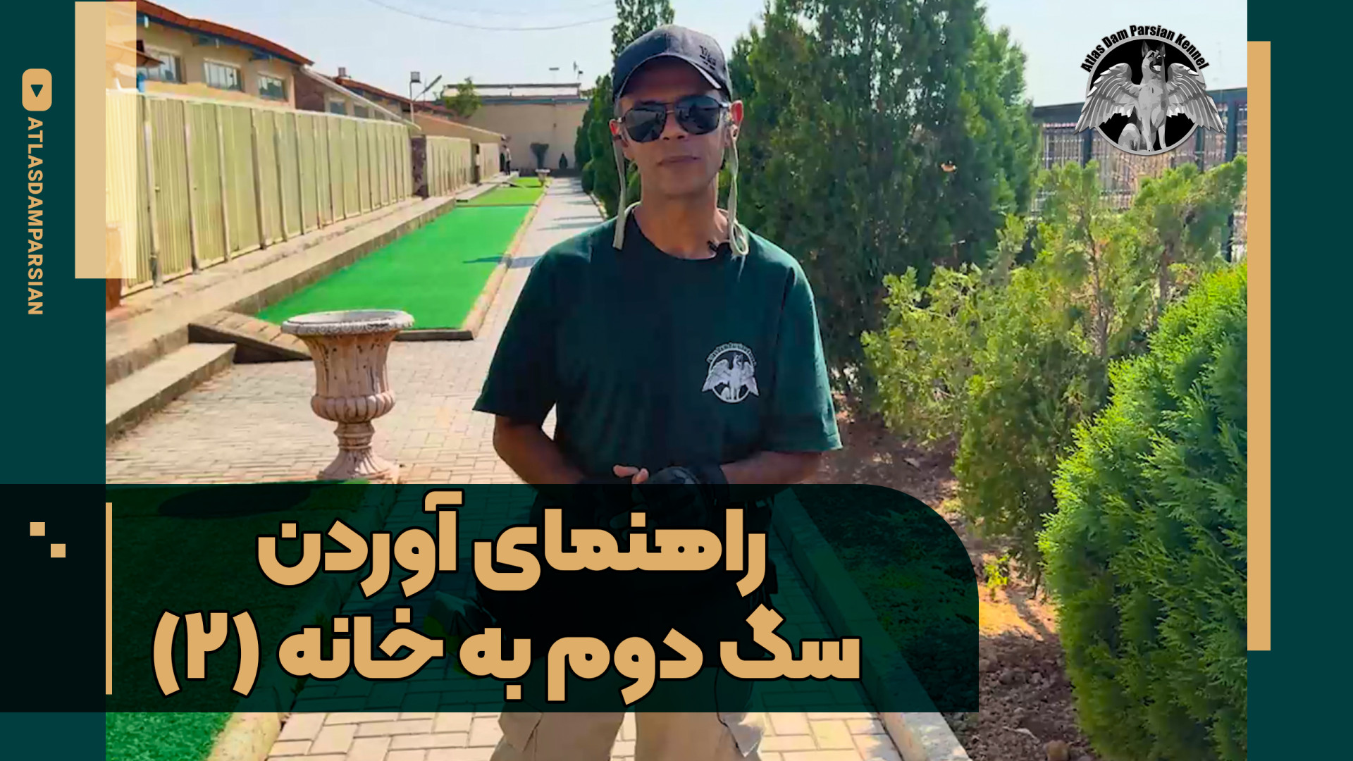 راهنمایی آوردن سگ دوم به خانه | قسمت دوم زمان132ثانیه