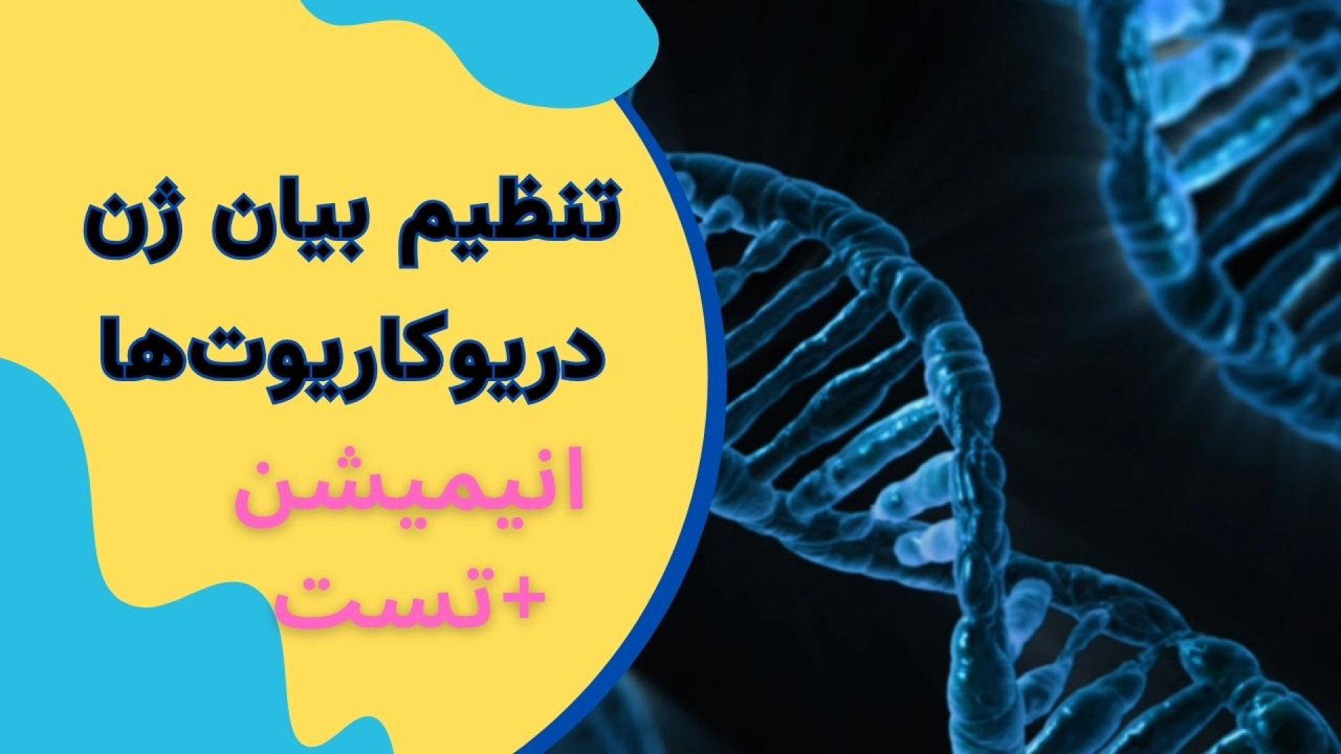 تنظیم بیان ژن در یوکاریوتها همراه با انیمیشن و حل تست جنیفر لوپز