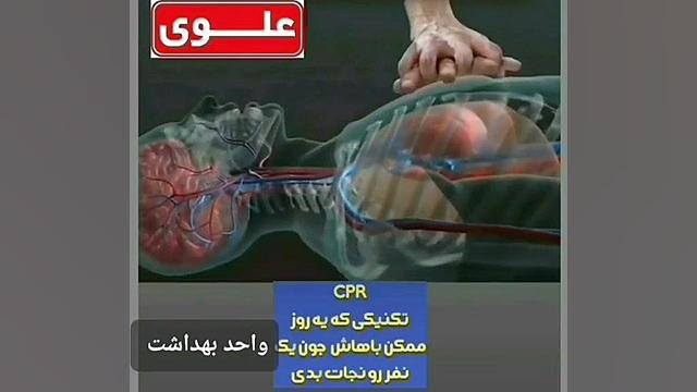 احیاء قلبی و ریوی CPR Southern Blot