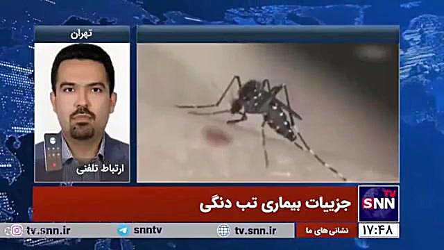 آخرین وضعیت تب دانگ و بیماری های منتقله از پشه در ایران و جهان دیوید بکهام