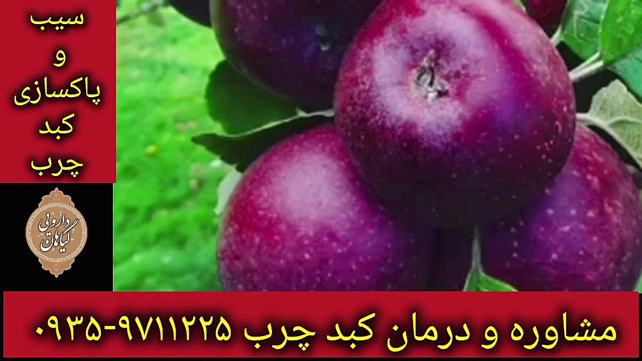 سیب و پاکسازی کبد چرب ۰۹۳۵۹۷۱۱۲۲۵ تست تنفس اوره C13