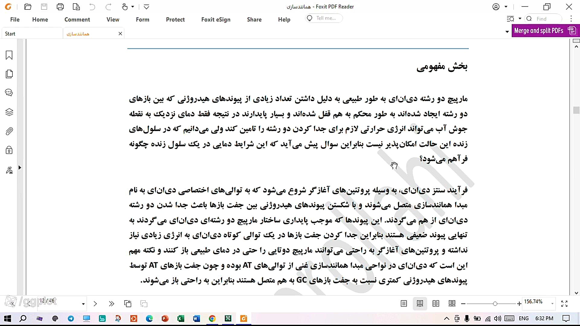 فرآیند همانندسازی دی‌ان‌ای در باکتری‌ها: یک نمای کلی تست تراشه ژنی