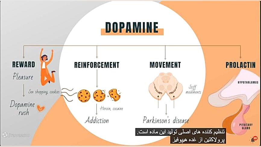 دوپامین چیست و چه کاری انجام میدهد؟ چه زمانی ترشح میشود؟ ارتودنسی