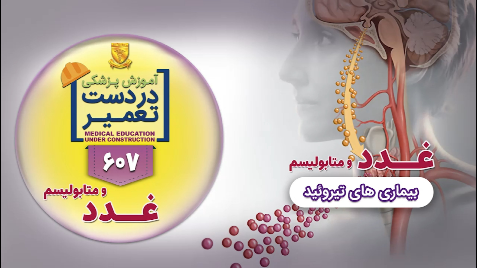 غدد و متابولیسم (بیماری های تیروئید) Autophagy Detection Kit