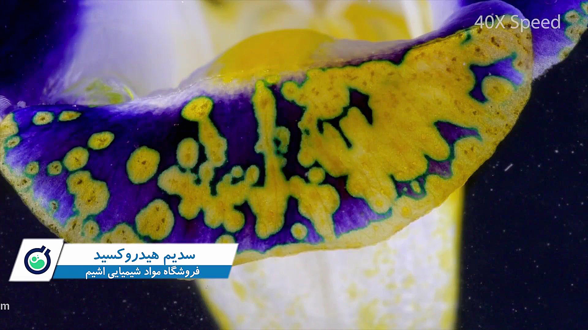 واکنش های حاوی سدیم هیدروکسید دندان مصنوعی