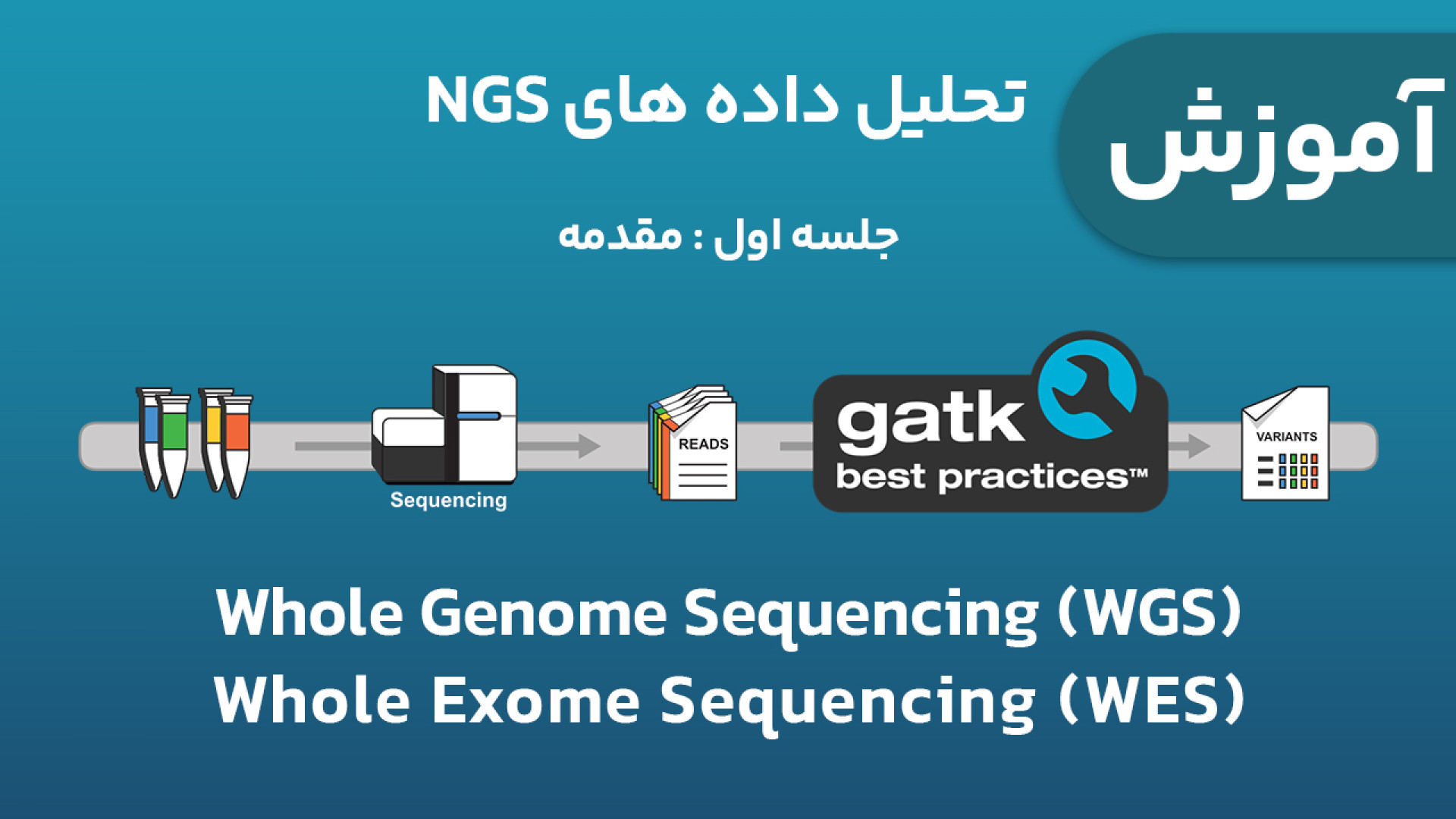 آموزش تحلیل داده های NGS ژنومیکس (WES و WGS) - جلسه 1 : مقدمه بیانسه