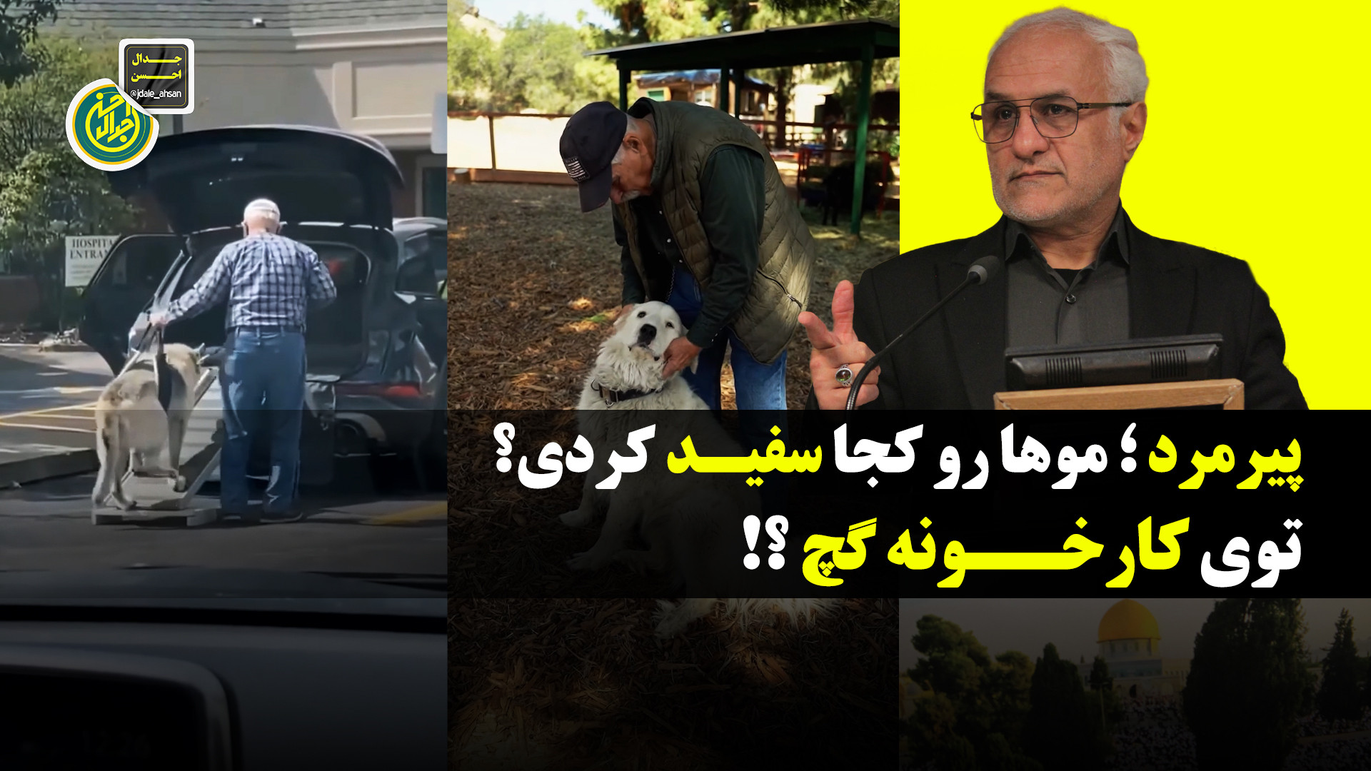 پیرمرد؛ موهات رو کجا سفید کردی؟ تو کارخونه گچ؟!