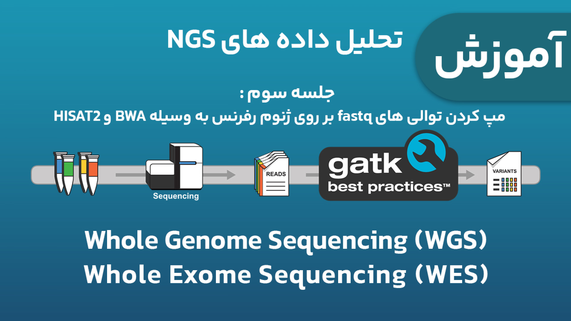 آموزش تحلیل داده های NGS ژنومیکس (WES و WGS) - جلسه 3 : BWA و HISAT2 دندانپزشک زیبایی