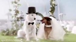 تیزر تبلیغاتی خلاقانه تبلیغ ما...