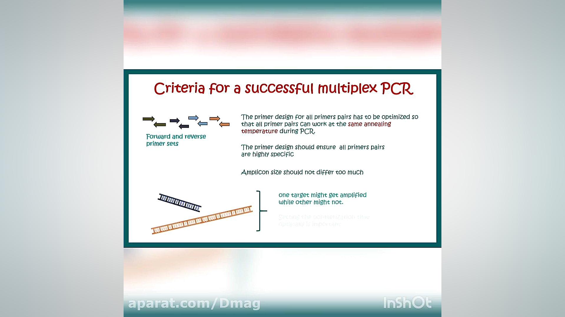 دکتر حجت ثمره فکری - تکنیک مولکولی Multiplex PCR - مالتیپلکس PCR کلینیک زیبایی