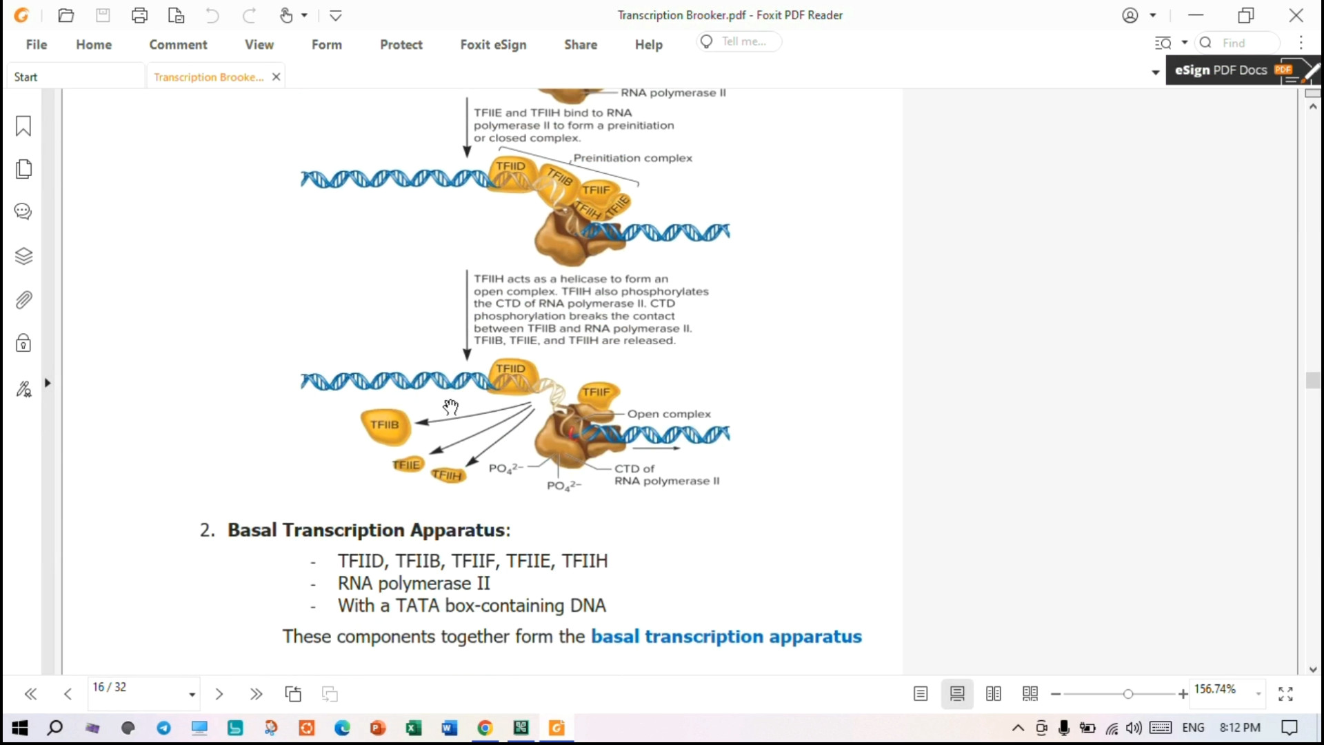رونویسی از ژن در یوکاریوت ها - بخش دوم - فاکتور های رونویسی و مکانیسم های خاتمه Axon Guidance Study