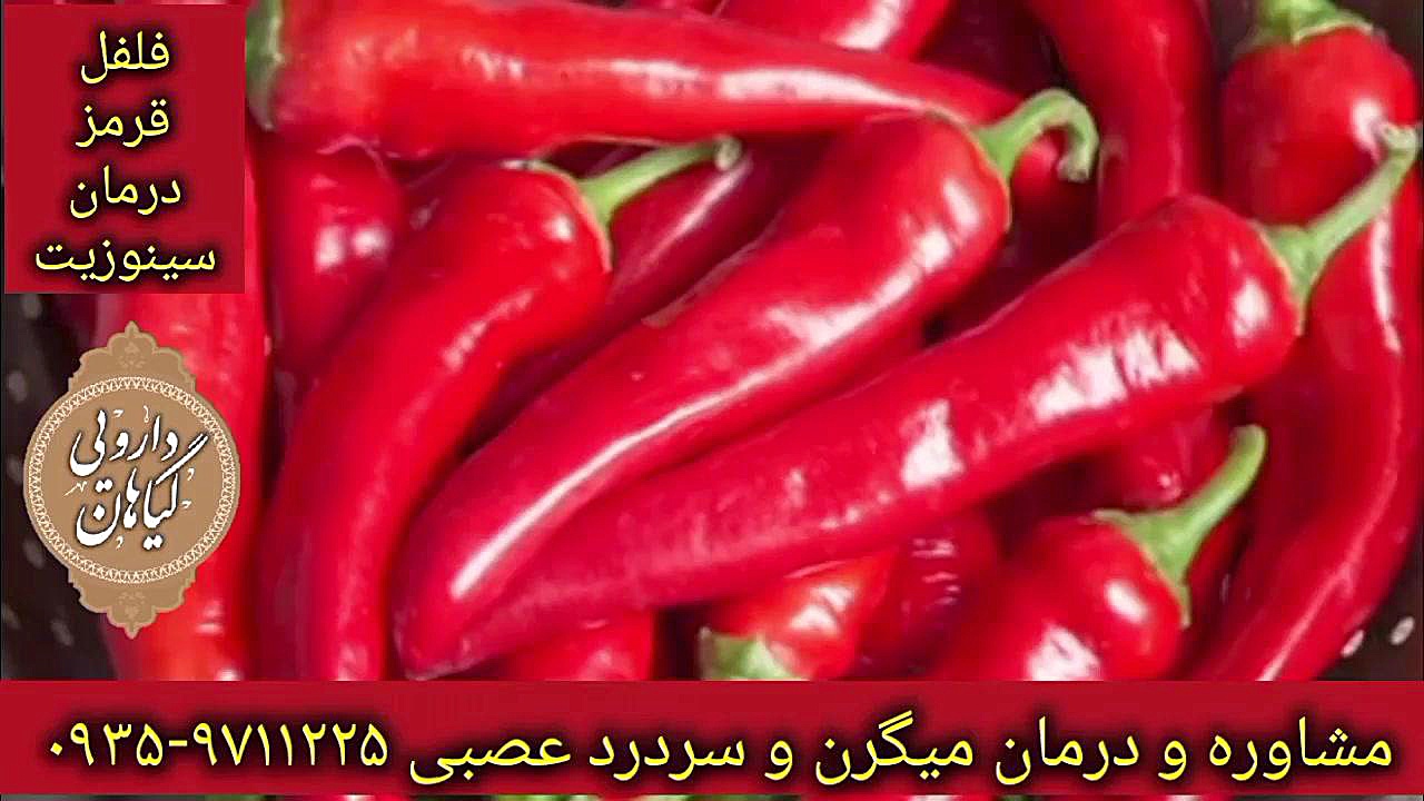 فلفل قرمز و سینوزیت درمان قطعی میگرن و سردرد عصبی ۰۹۳۵۹۷۱۱۲۲۵ پزشکی ویرایش ژن