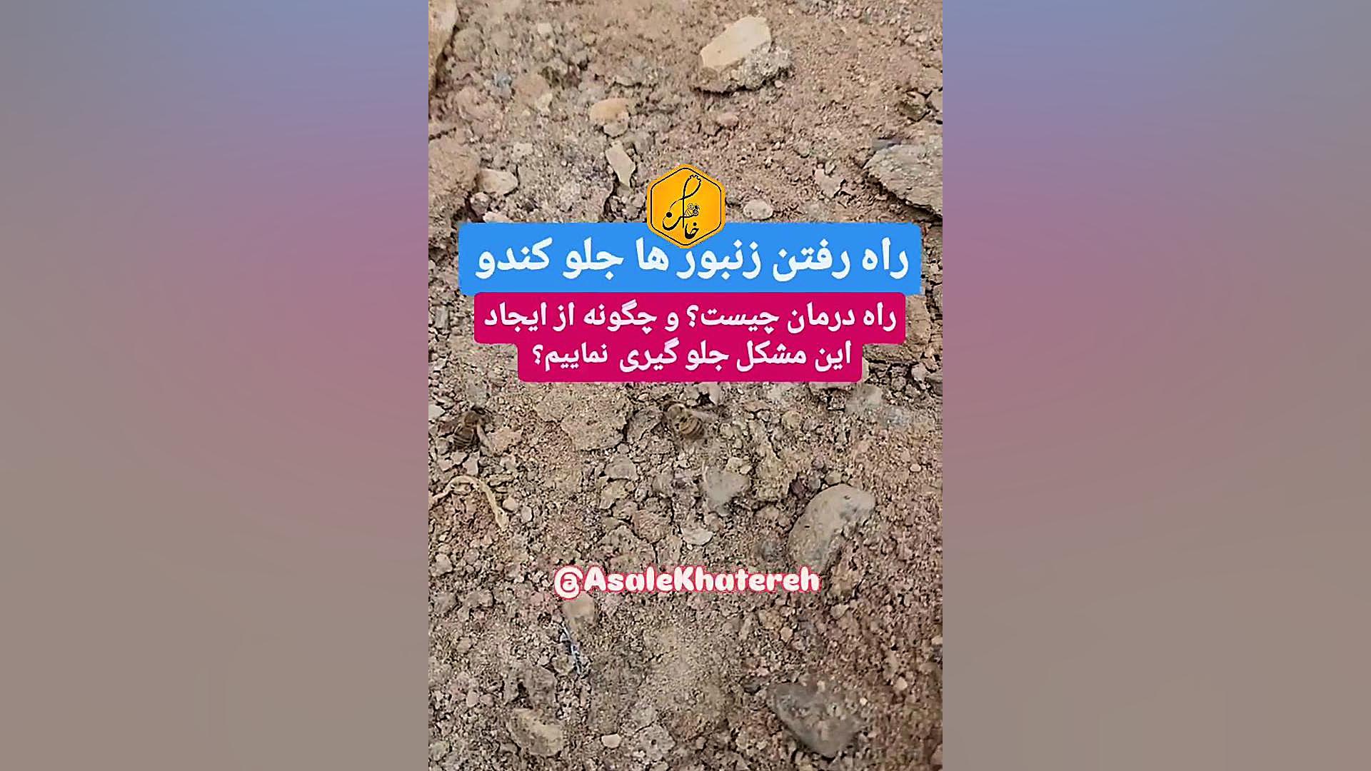 آلودگی و بیماری‌های زنبور عسل - پرورش ملکه خاطره - آموزش زنبورداری عملی جانی دپ
