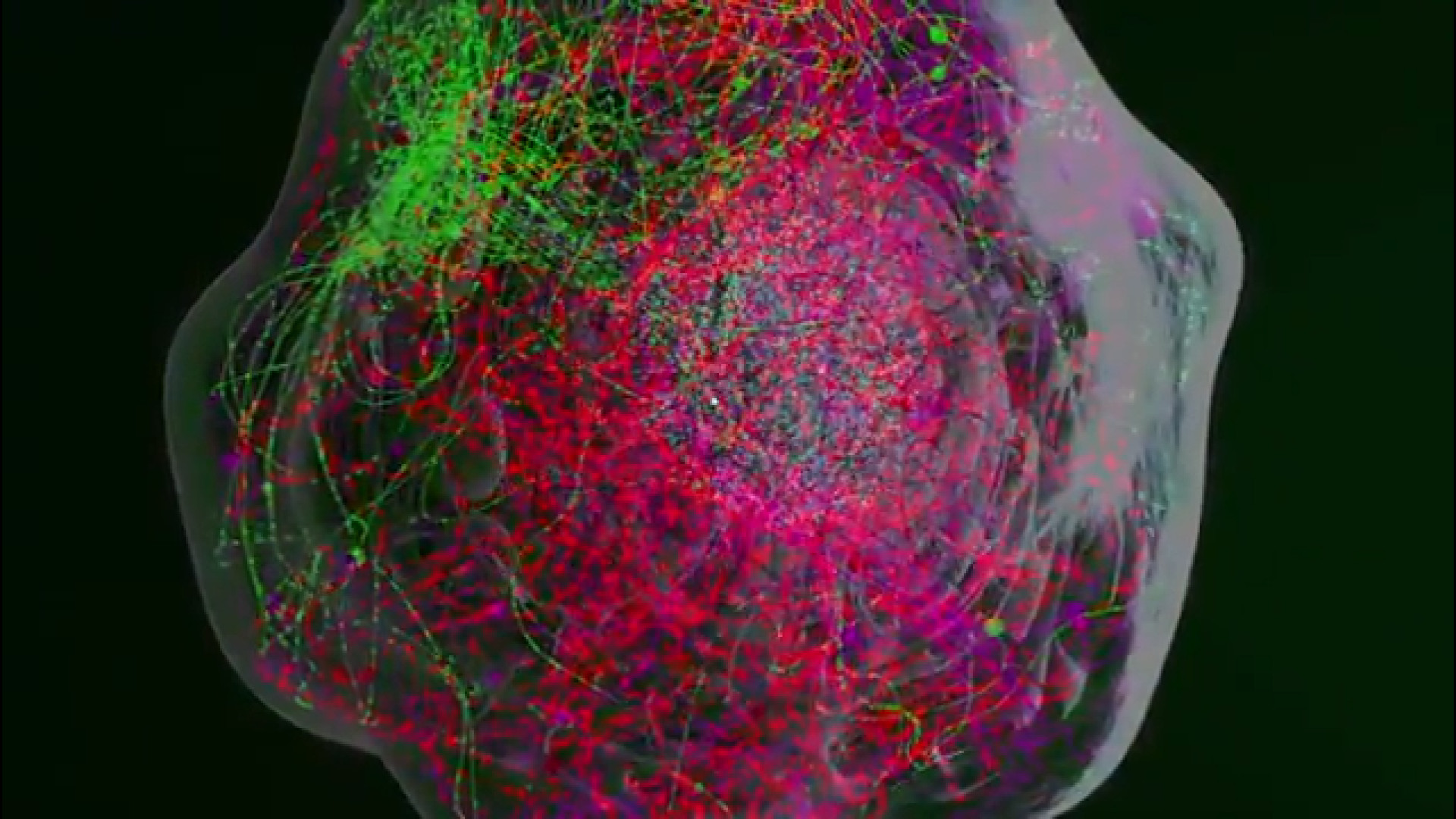 دکتر حجت ثمره فکری - تکنیک سلولی فلوسایتومتری - Flow cytometry فرزاد فرزین