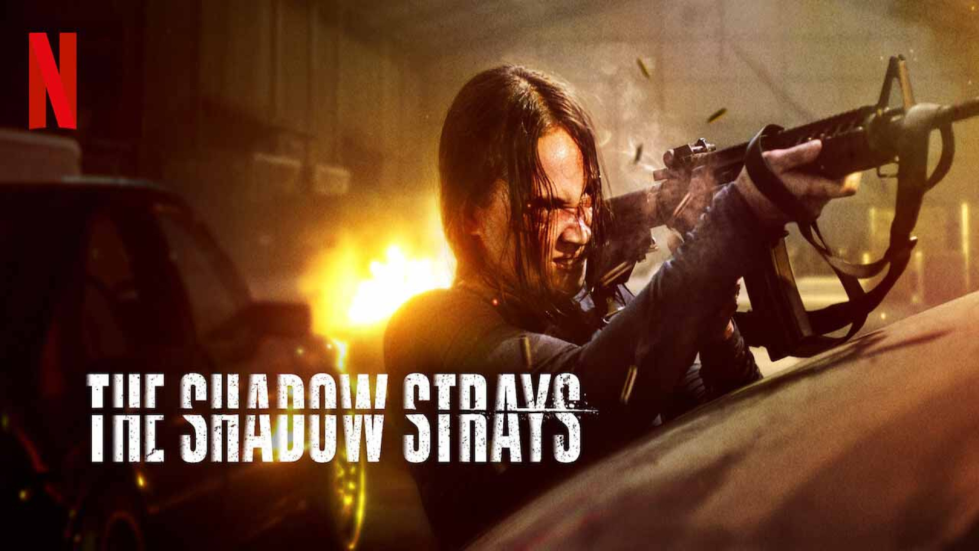 فیلم ولگردهای سایه The Shadow Strays 2024 با دوبله فارسی -  اکشن,, هیجان انگیز زمان8356ثانیه