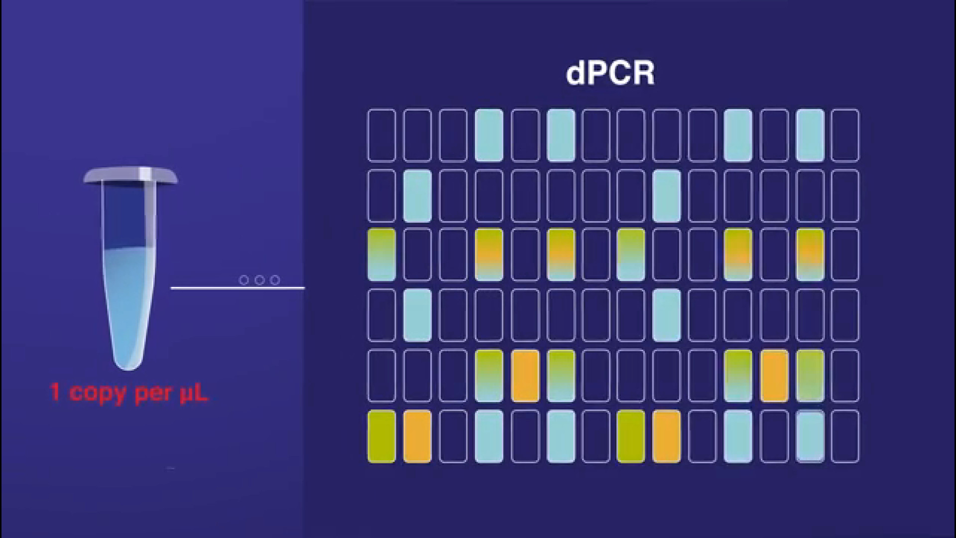 دکتر حجت ثمره فکری تفاوت بین qPCR و dPCR مرغ طوفان