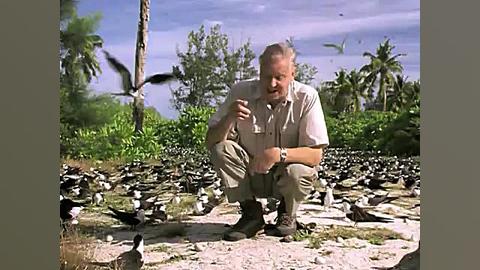 قسمت هشتم مستند The Life of Birds از David Attenborough زمان2951ثانیه