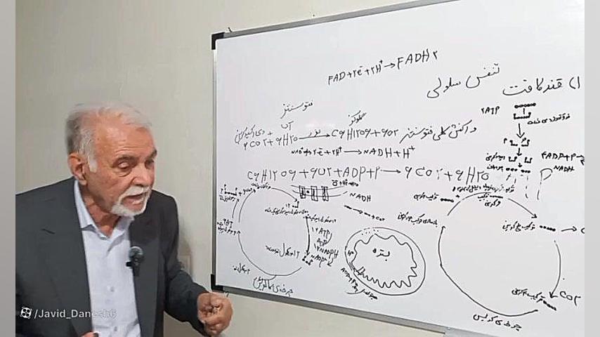تنفس سلولی و فتوسنتز فصل ۵ زیست دوازدهم آهنگ بترکون