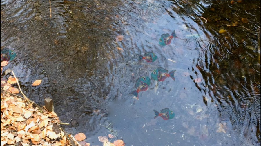 مراقبه خواب آرام، پاکسازی قبل از خواب شبانه با صدای ملکوتی زهره یوسفی