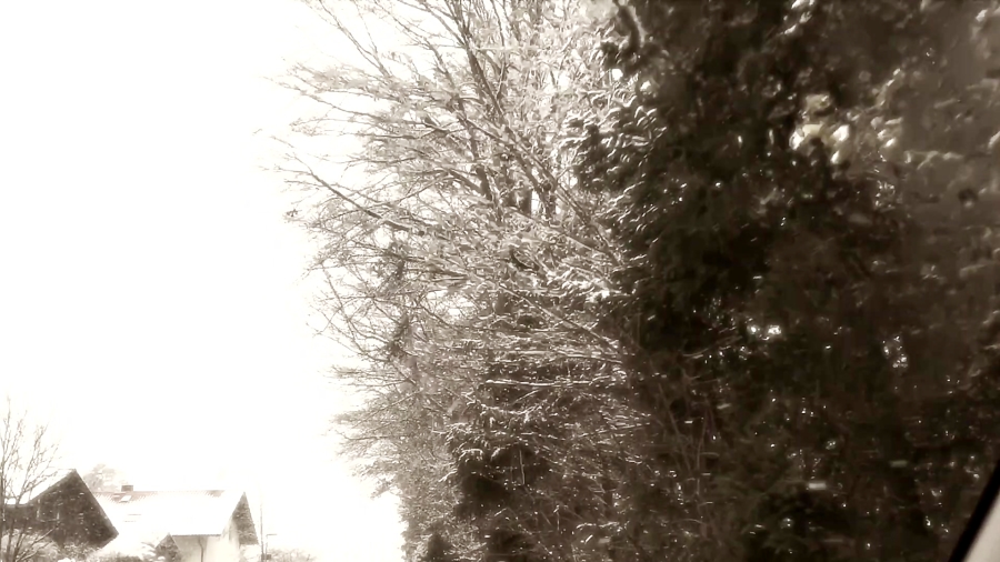 مدیتیشن مرگ با صدای ملکوتی زهره یوسفی