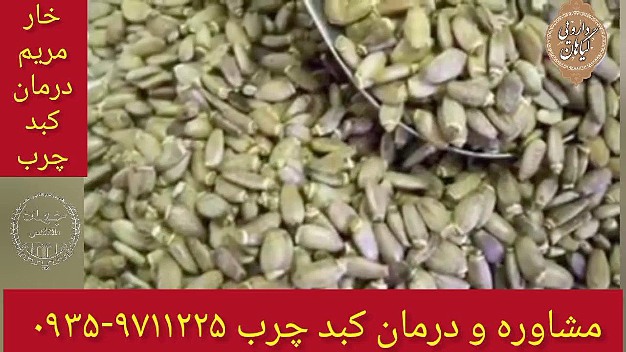 خار مریم درمان و پاکسازی کبد چرب ۰۹۳۵۹۷۱۱۲۲۵ ساکوبیتریل