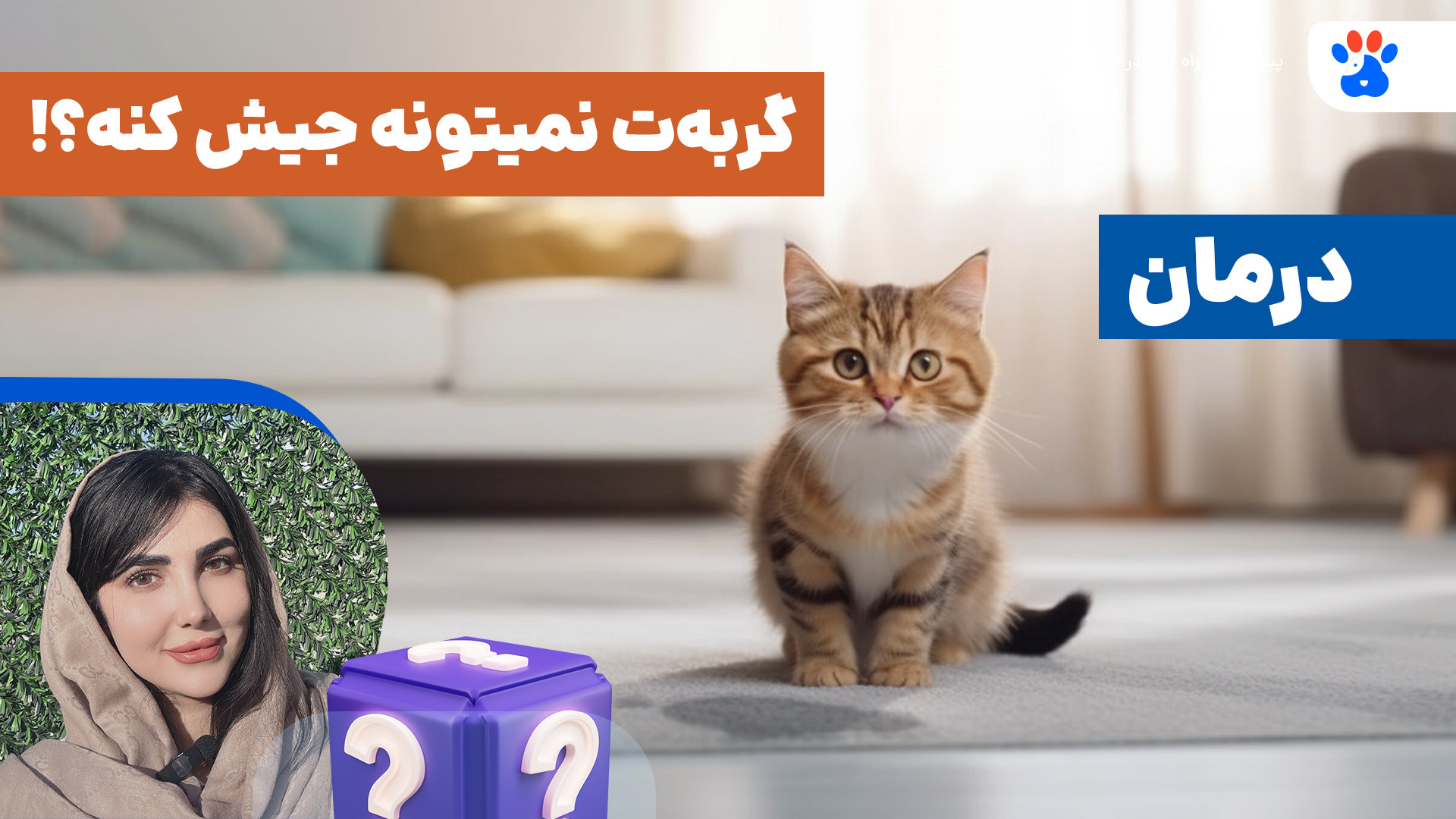 علت ادرار نکردن گربه‌ها چیست؟ همه چیز درباره انسداد مجاری ادراری گربه ها بیولوژی تکوینی