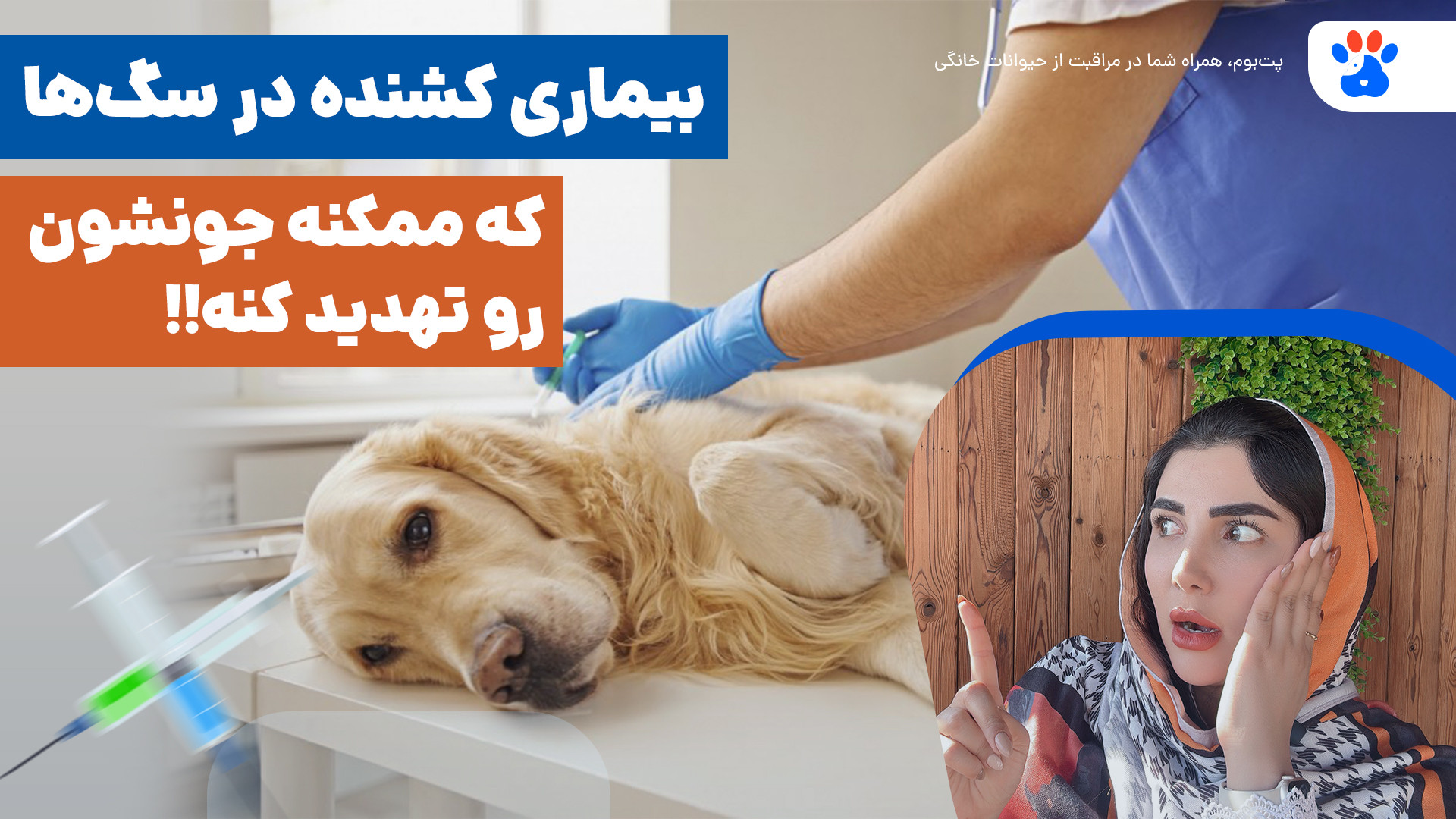 ۴ بیماری خیلی کشنده و خطرناک برای سگ ها..!!مراقب سگتون باشین بیماری فیبری دیسپلازی