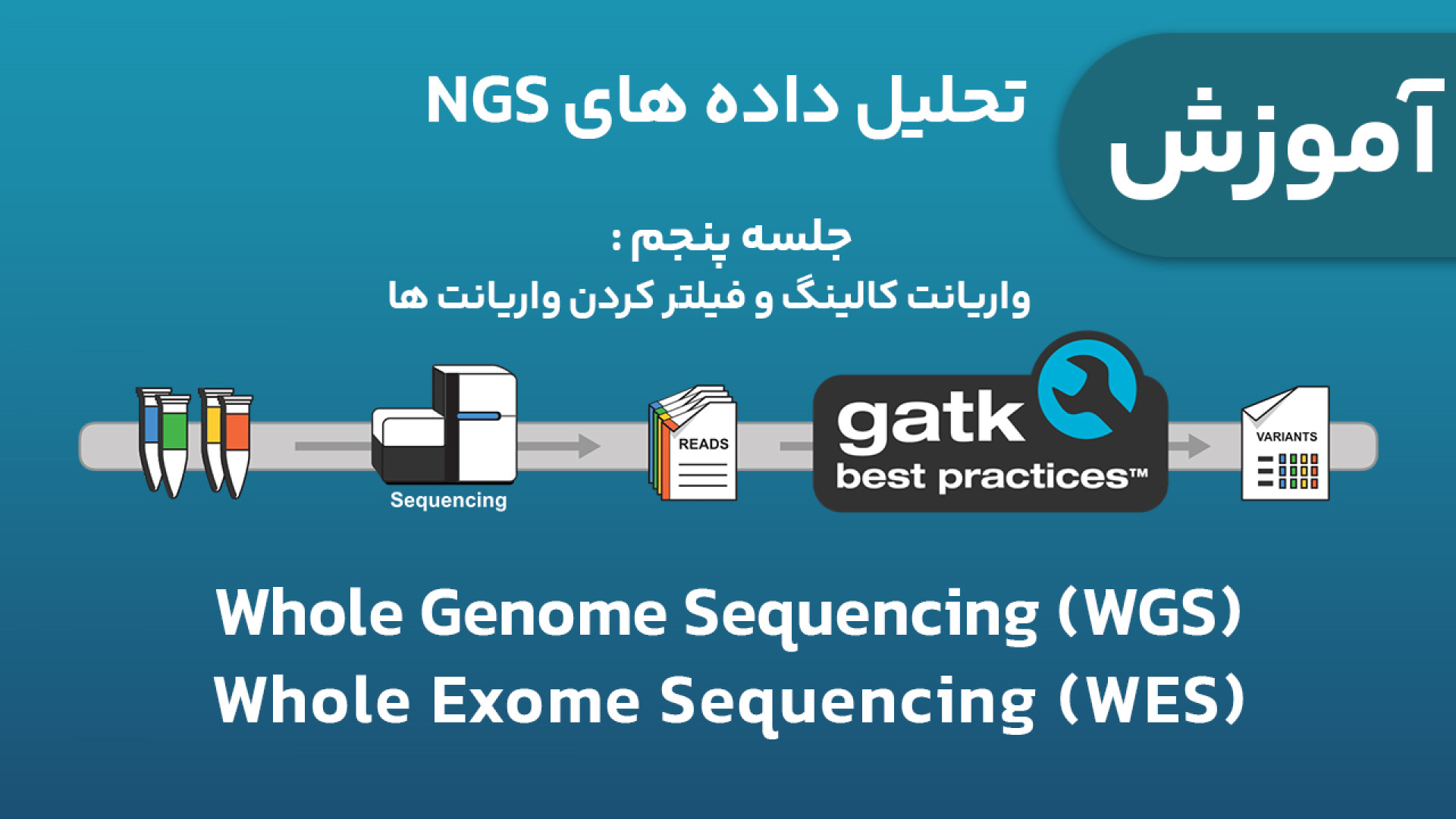 آموزش تحلیل داده های NGS ژنومیکس (WES و WGS) - جلسه 5 : Variant Calling ویل اسمیت