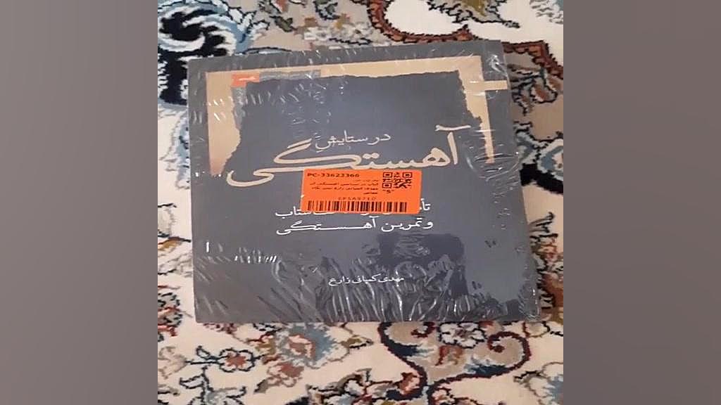 کتاب در ستایش آهستگی اثر مهدی کمپانی زارع نشر نگاه معاصر - فیلم ارسالی خریدار زمان60ثانیه