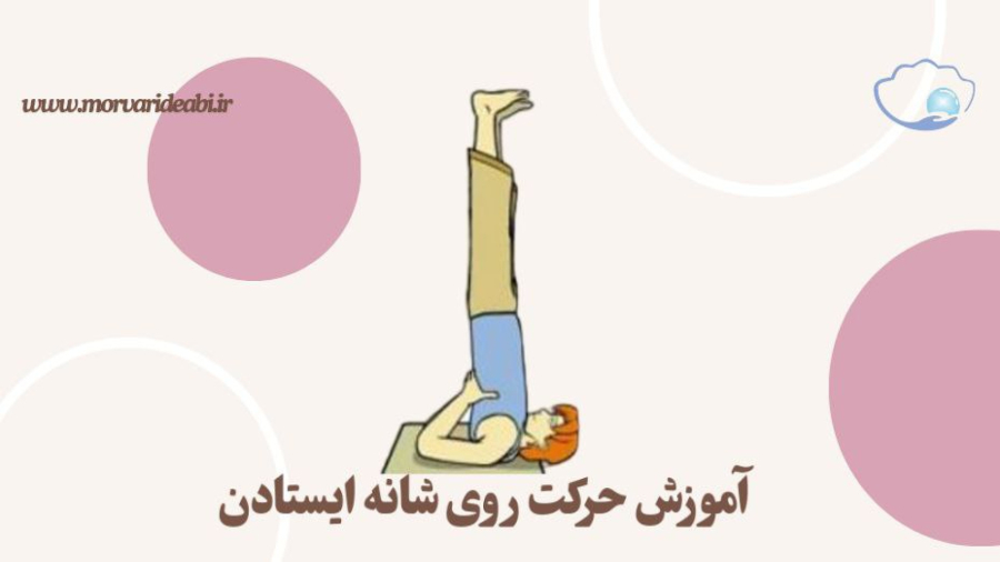 آموزش حرکت روی شانه ایستادن (sarvangasana)