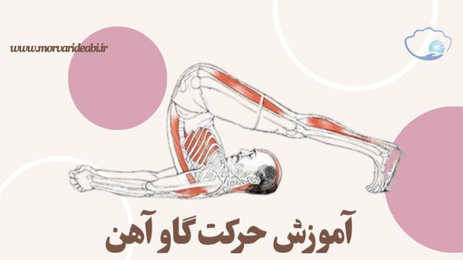 آموزش حرکت گاوآهن