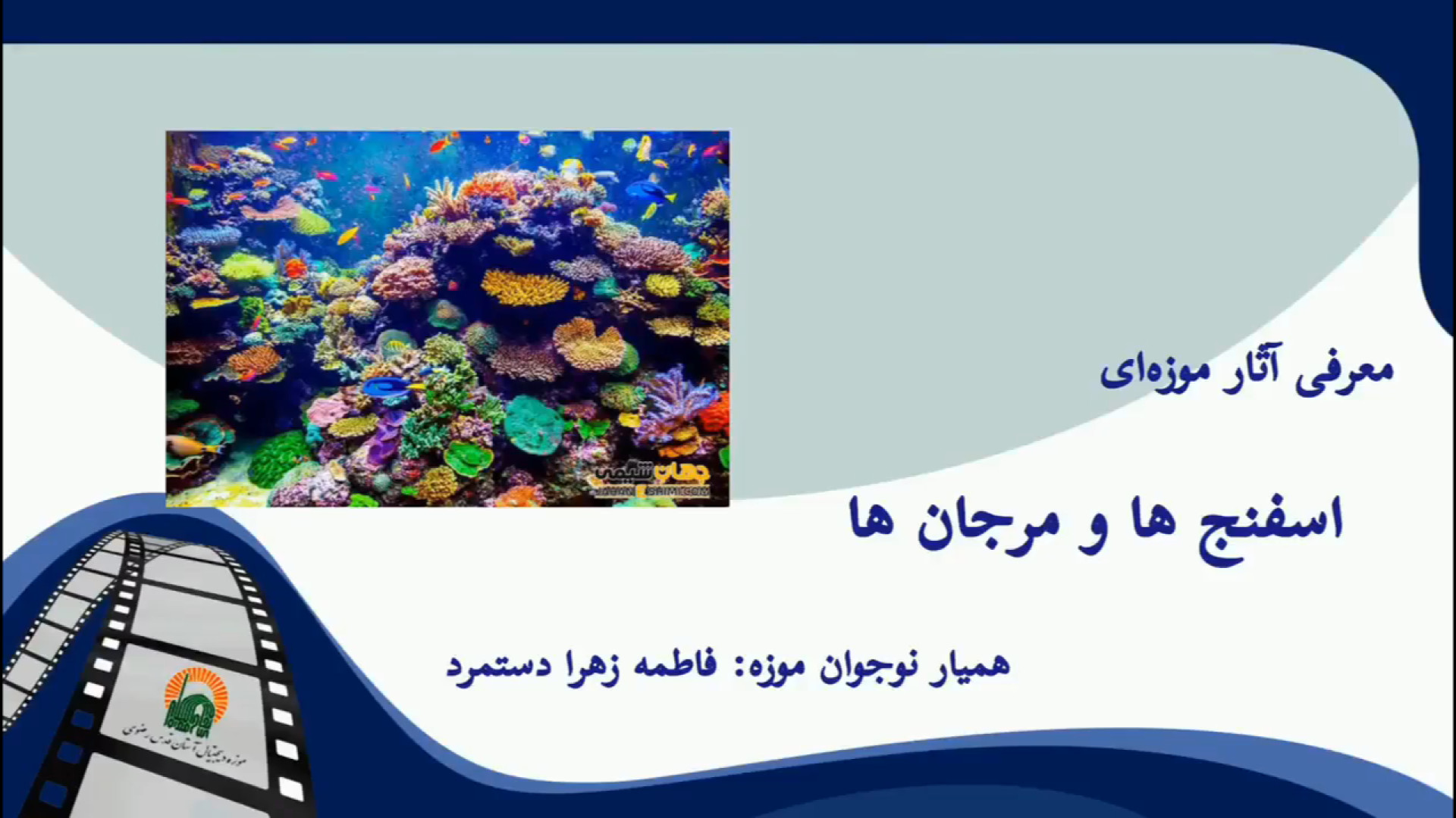 معرفی اسفنج‌ها و مرجان‌های دریایی در گنجینه آبزیان رضوی زمان59ثانیه