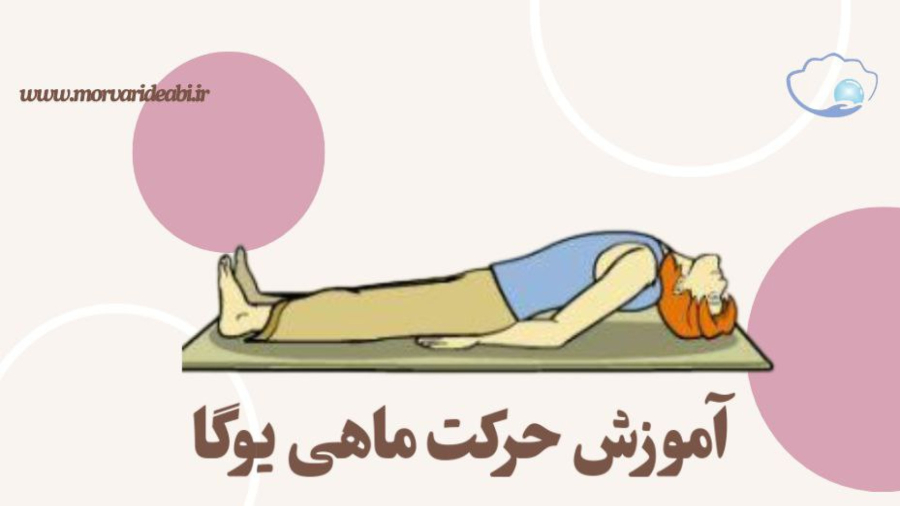 آموزش حرکت ماهی