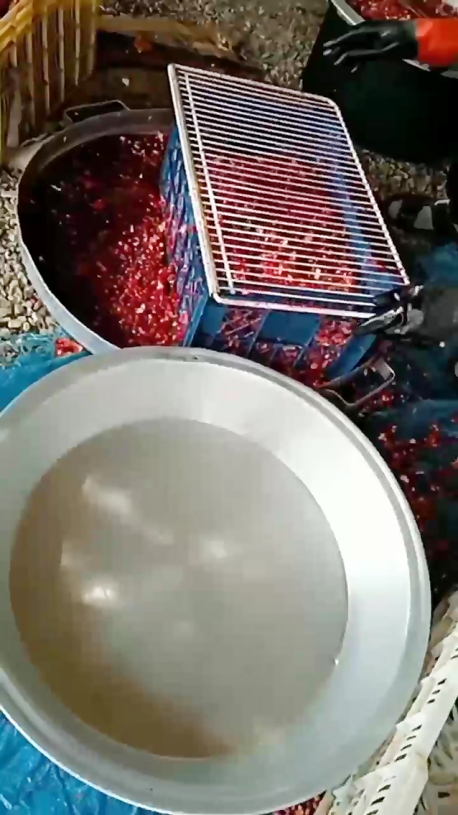 طرز تهیه رب انار