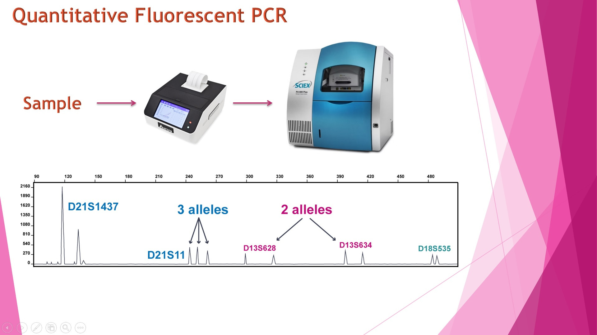 شرح کامل تکنیک QF-PCR در زمینه ژنتیک مولکولی و پزشکی پلتفرم مدلسازی بیماری in vitro